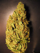 Paradise Seeds - Opium
