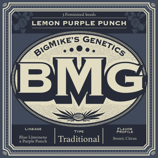 Big Mike's Genetics - Lemon Purple Punch (Pack of 4)