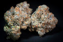 Paradise Seeds - Caramba