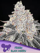 Anesia - Frozen Black Cherry Fem