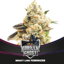 BSF - Gorilla Ghost