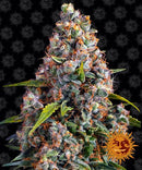 BARNEY'S FARM - STRAWBERRY CHEESECAKE AUTO