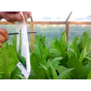 CO2 Bag