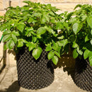 AIR POT POTATO TOWER 50L