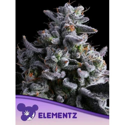 ANESIA SEEDS - ELEMENTZ FEM - 3 SEEDS