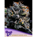 ANESIA SEEDS - AUTO BLUEBERRY BANANA - 3 SEEDS