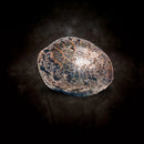 Paradise Seeds - Ice Cream