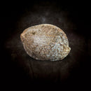 Paradise Seeds - L.A. Amnesia