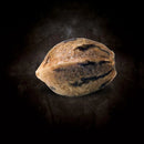 Paradise Seeds - Opium