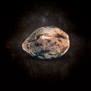 Paradise Seeds - Space Cookies