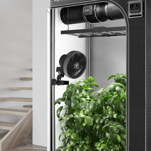 AC INFINITY - CLOUDRAY S6 -150MM - 10-LEVEL AUTO OSCILLATION