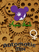 Anesia - XXL Automatic Mix