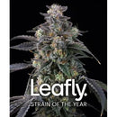 BARNEY'S FARM - SUPER BOOF - LEAFLY STRAIN OF THE YEAR - 3 SEEDS