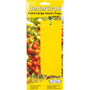 BETTERGROW - EXTRA LARGE INSECT TRAPS (10PZ)