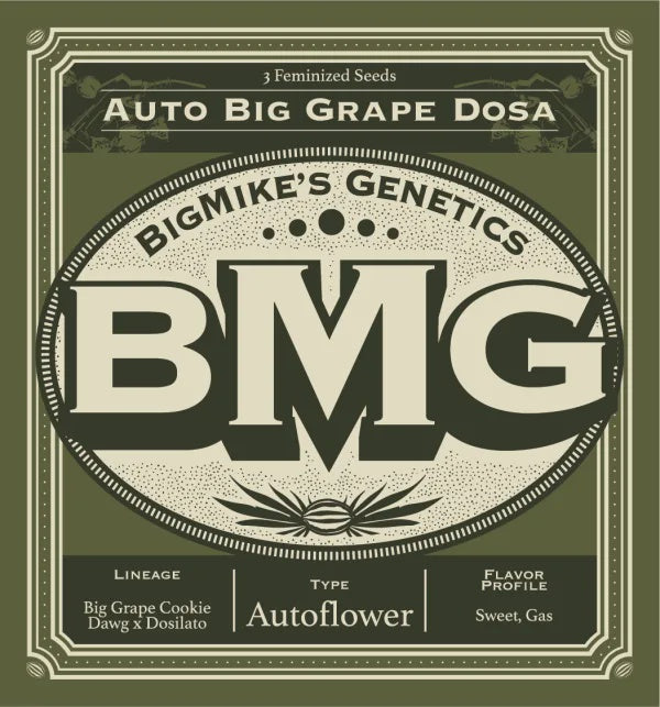 Big Mike's Genetics - Auto Big Grape Dosa (Pack of 4)