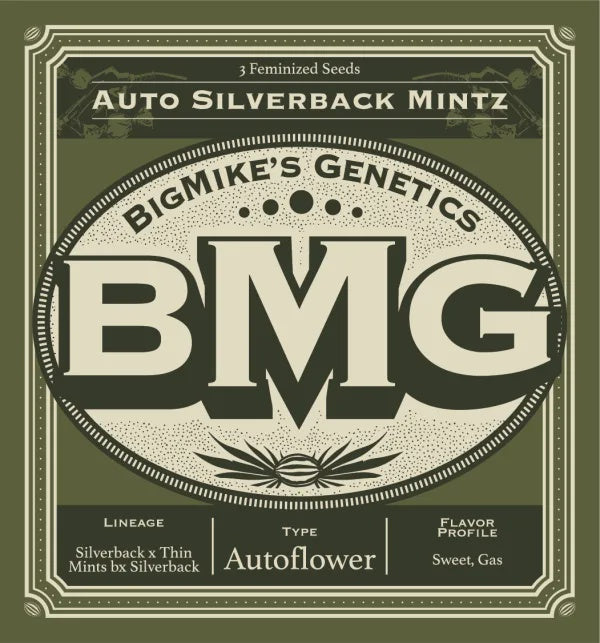 Big Mike's Genetics - Auto Silverback Mintz (Pack of 4)