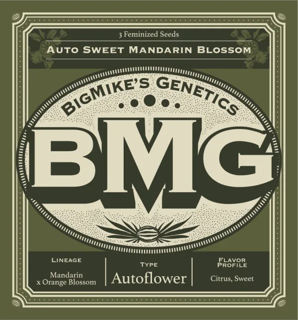 Big Mike's Genetics - Auto Sweet Mandarin Blossom (Pack of 4)