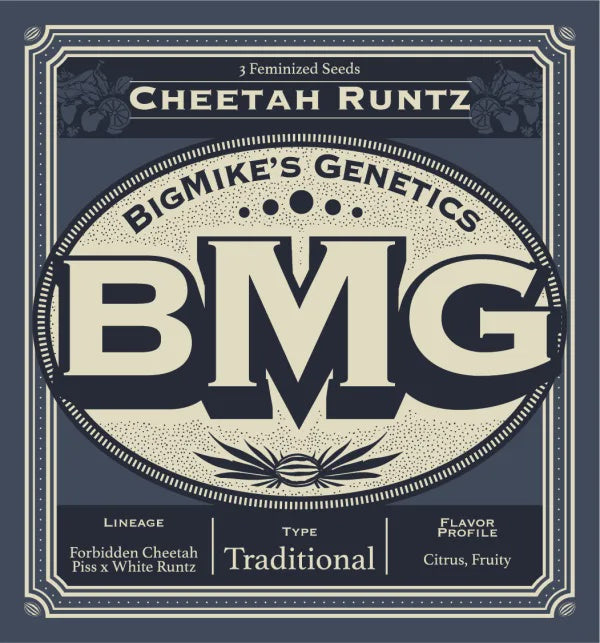 Big Mike's Genetics - Cheetah Runtz (Pack of 4)