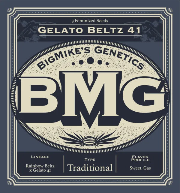 Big Mike's Genetics - Gelato Beltz 41 (Pack of 4)