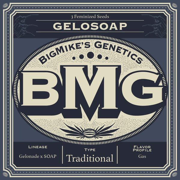 Big Mike's Genetics - GeloSOAP (Pack of 4)