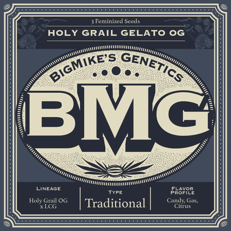 Big Mike's Genetics - Holy Grail Gelato OG (Pack of 4)