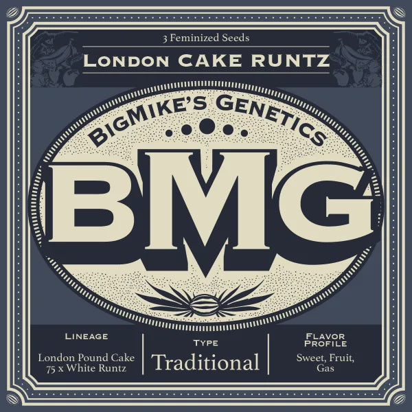 Big Mikes Genetics - London Cake Runtz (Pack of 4)