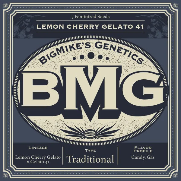 Big Mike's Genetics - Lemon Cherry Gelato 41 (Pack of 4)