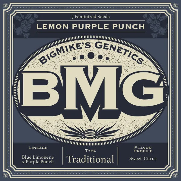 Big Mike's Genetics - Lemon Purple Punch (Pack of 4)