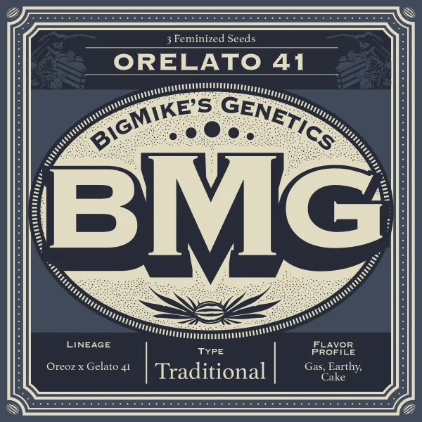 Big Mike's Genetics - Orelato 41 (Pack of 4)