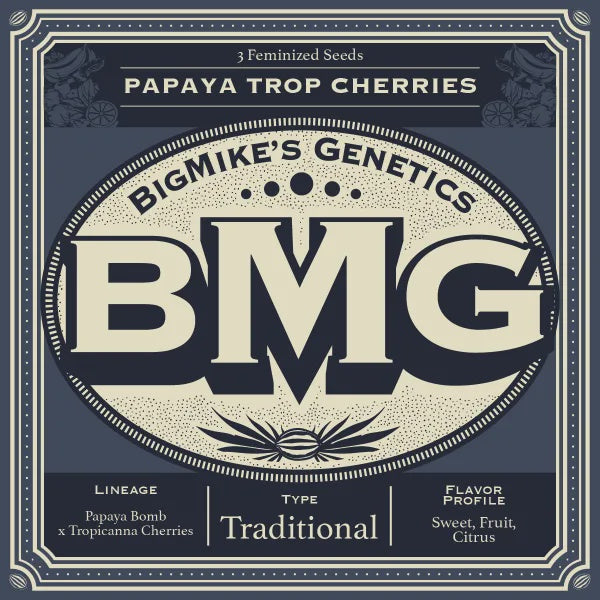 Big Mike's Genetics - Papaya Trop Cherries (Pack of 4)