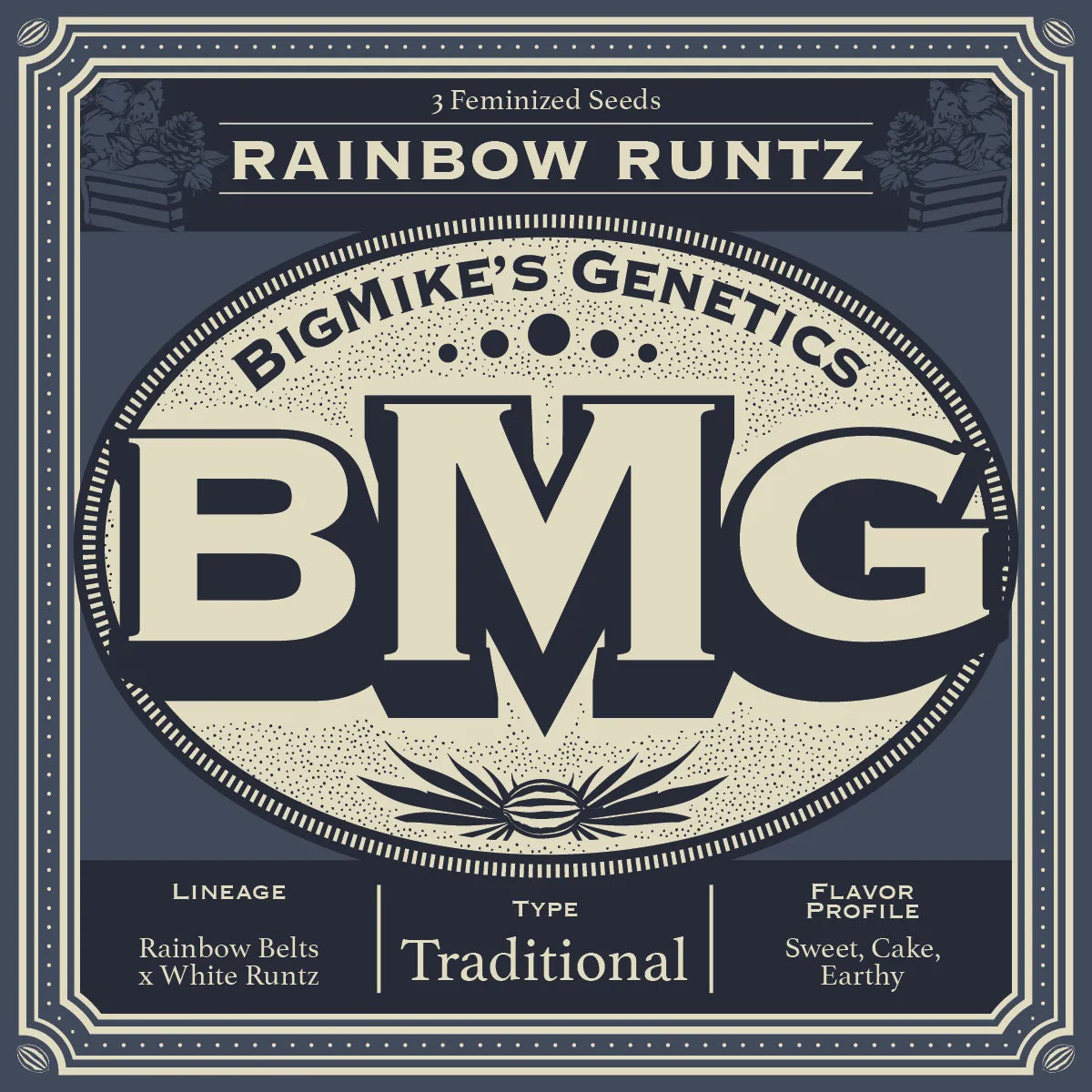 Mike Runtz Big Mike's Genetics - Rainbow Runtz (Pack of 4)