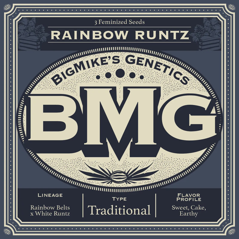 Big Mike's Genetics - Rainbow Runtz (Pack of 4)