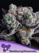 Anesia - Blackberry Moonrocks®