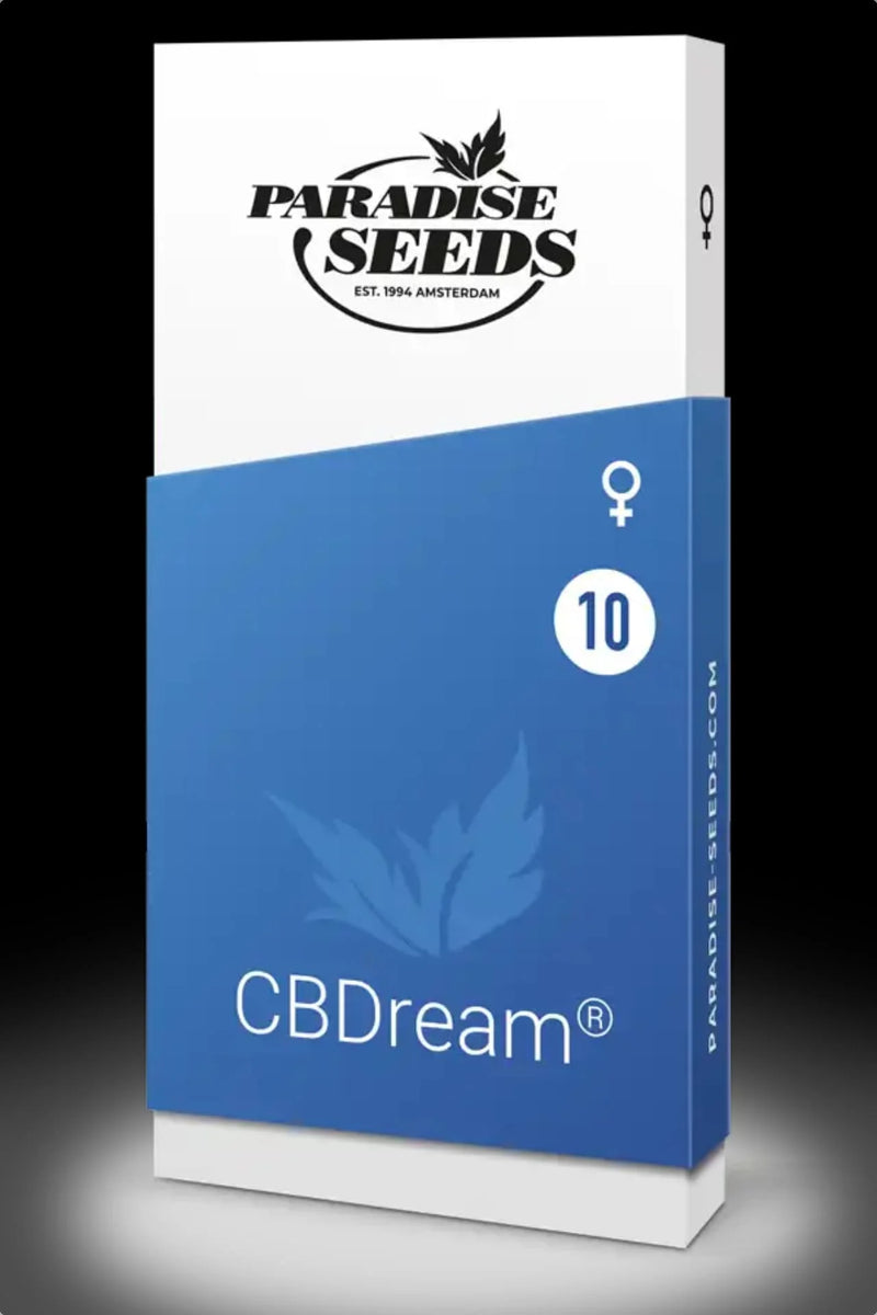 Paradise Seeds - CBDream