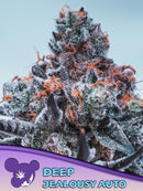 Anesia - Deep Jealousy Auto