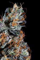 Compound Genetics - Luxar Dos