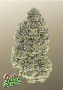 Fast Buds - Garlic Mint Sherbet™