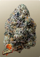 Fast Buds - Gary Sherbet