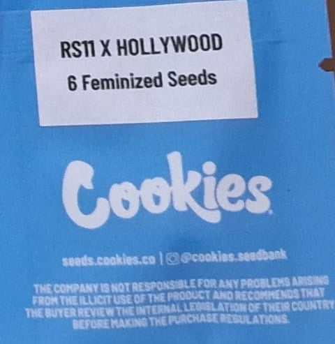 COOKIES - RS11 X HOLLYWOOD