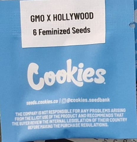 COOKIES - GMO X HOLLYWOOD