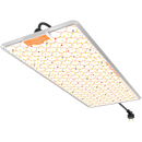 IGNATOR HEROLED F240W