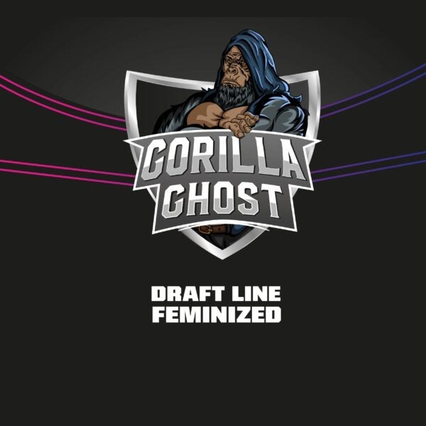 BSF - Gorilla Ghost