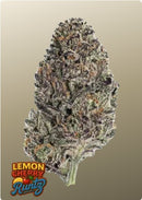 Fast Buds - Lemon Cherry Runtz™