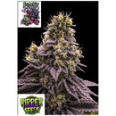 RIPPER SEEDS - ZOMBIE BRIDE FEM