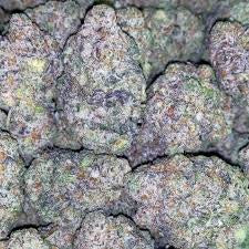 Starfire Genetix - Froot Stripez
