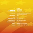 BSF - Tangie XXL Auto