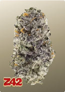 Fast Buds - Z42™