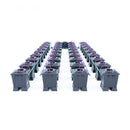 Alien - Aero Black System - 36 x 15L