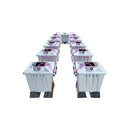 Alien - System Aero Pro Silver - 10 x 15L