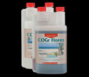 CANNA COGR FLOWERS A+B 2X - 1L